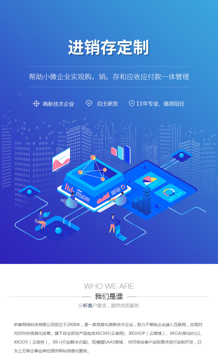 定制进销存系统，助力企业精准运营